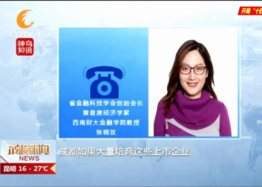 学会张晓玫会长接受成都电视台《成视新闻》栏目采访